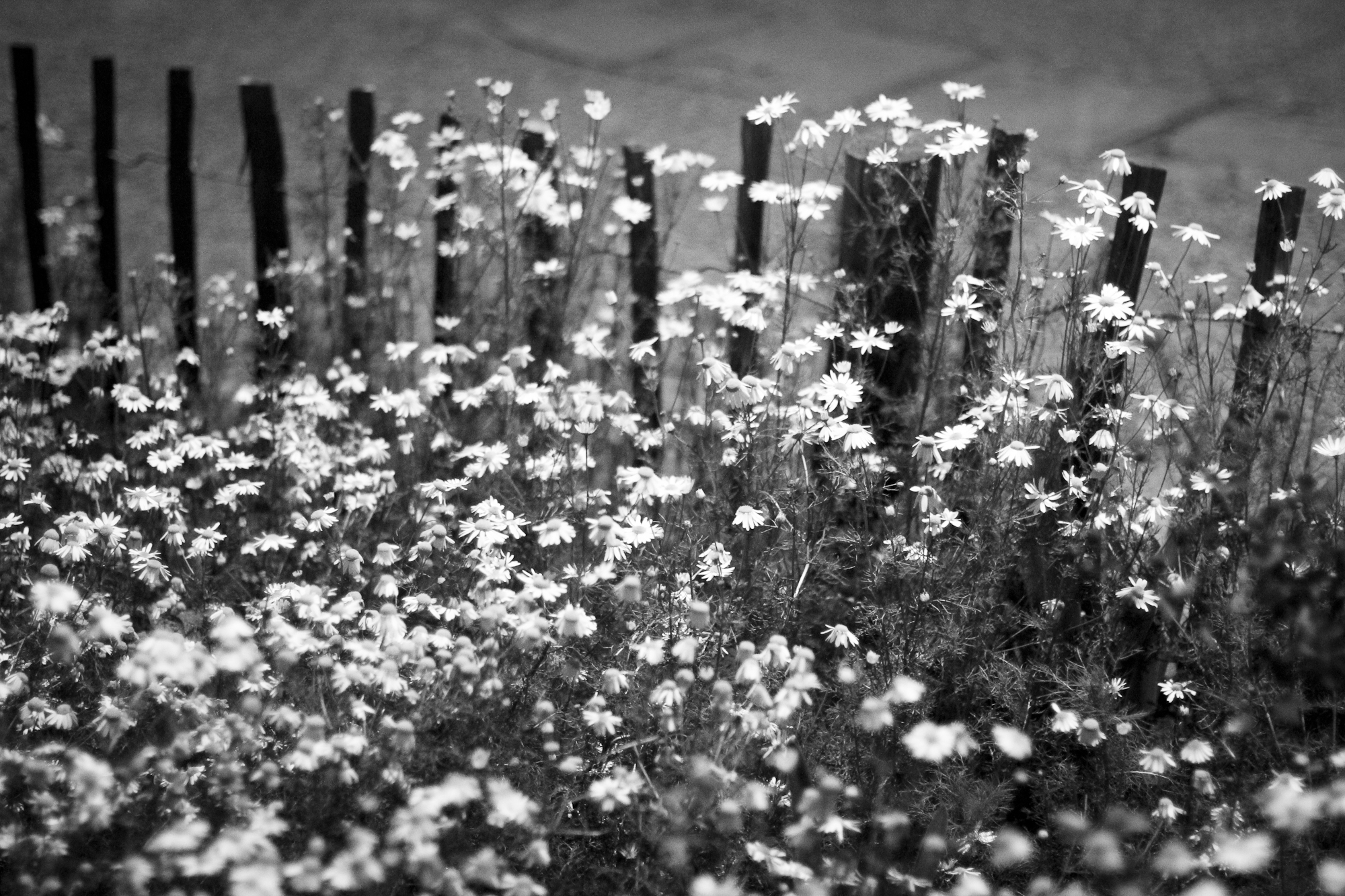 Et la nuit matricaire.